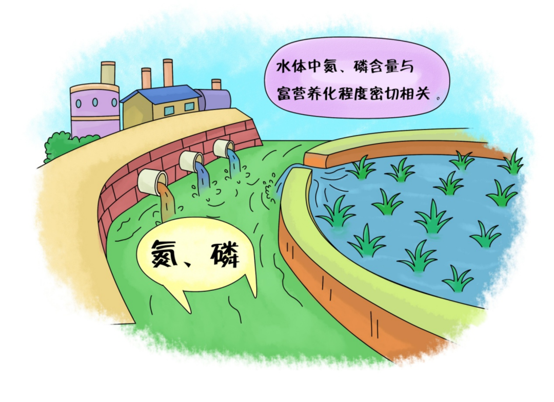 如何减少水体中氮、磷污染的含量